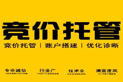 SEM代理服务：案例分享，效果显著